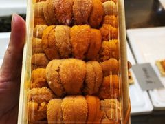 北海道海膽-木津卸壳市场