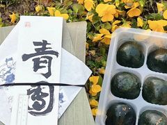 -阮大兴糕团(日月光中心店)