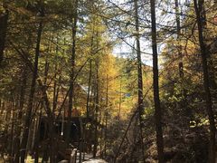 -苏木山森林公园