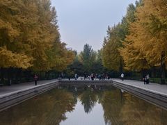 -玲珑塔公园