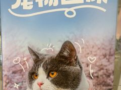 -宠颐生宠物医院外科·内科·皮肤科·影像科(石龙店)