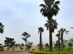 -普陀山风景名胜区-千步大沙