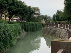 -神仙树公园