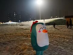 -丁香湖丁香小镇Citypark滑雪公园戏雪嘉年华