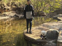 -京东石林峡风景区