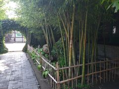 -王家大院