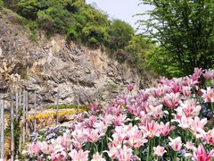 -上海辰山植物园
