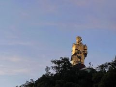-南山植物园