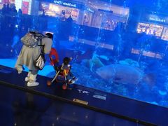 -成都浩海立方海洋公园