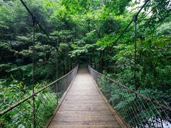 -西岭雪山大飞水景区