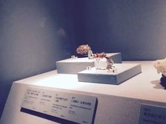 -台北故宫博物院