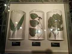 -台州博物馆