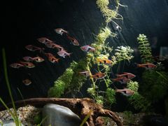 -上海海洋水族馆