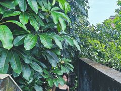 -广州神农草堂中医药博物馆