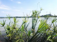 -星巴克(成都科学城店)