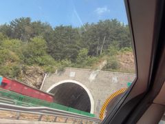 -王莽岭风景区