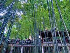 -岳麓山风景名胜区