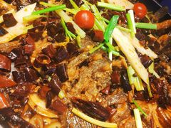 -老板恋上鱼(恒隆广场店)