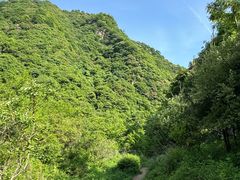 -抱龙峪