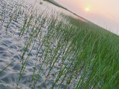 -南汇新城海滩