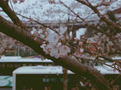 -上海南浦大桥长途旅游客运站