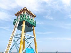 -碧海金沙