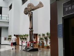 -自贡恐龙博物馆