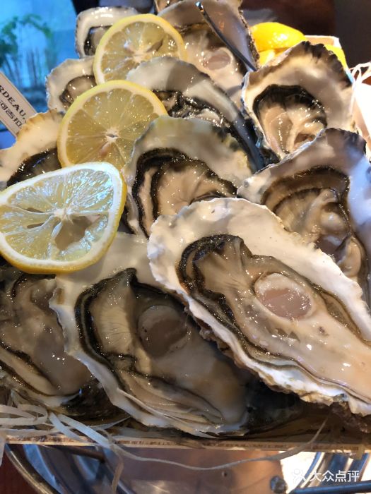 普朗姆生蚝吧 the plump oyster图片 - 第598张