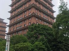 -华西村