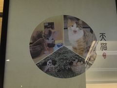 -太极禅苑