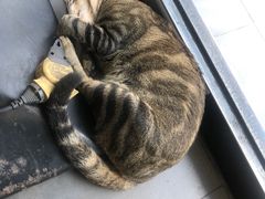 -牛一煲美食(江高店)