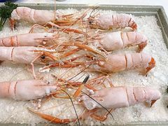 -新兴家喻酒家·羊城名宴(昌岗店)