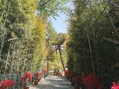 -红螺寺