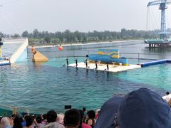 -秦皇岛乐岛海洋王国