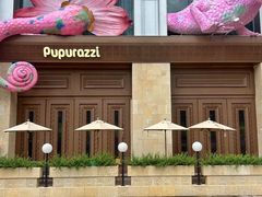 -帕帕拉兹宠物(亚洲旗舰店)