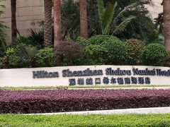 -希尔顿南海酒店·观廊大堂吧·海景下午茶