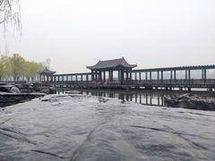 -莲花池公园