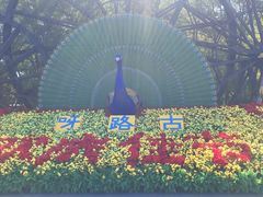 -呀路古热带植物园