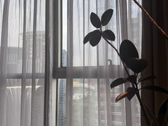 -争渡心理咨询全国连锁(福田店)