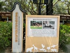 -广州长隆野生动物世界