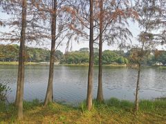 -东莞植物园