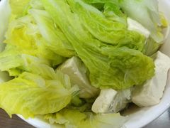 白菜豆腐粉丝-老爆肚满五香烧牛羊肉