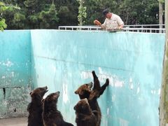 -西霞口神雕山野生动物世界