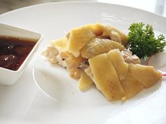 -唐阁海景中餐厅·纯手工早茶·粤菜(海口朗廷酒店)