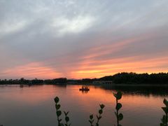 -大兴滨河森林公园