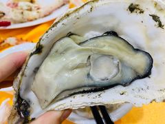 -蚝专家(北滘店)