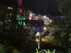 -绿光森林餐厅