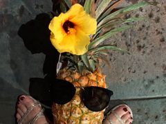 -夏威夷岛