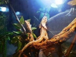 -Zoolung Zoolung动物主题公园(海信广场店)