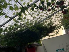 -伊隆斋(什刹海店)